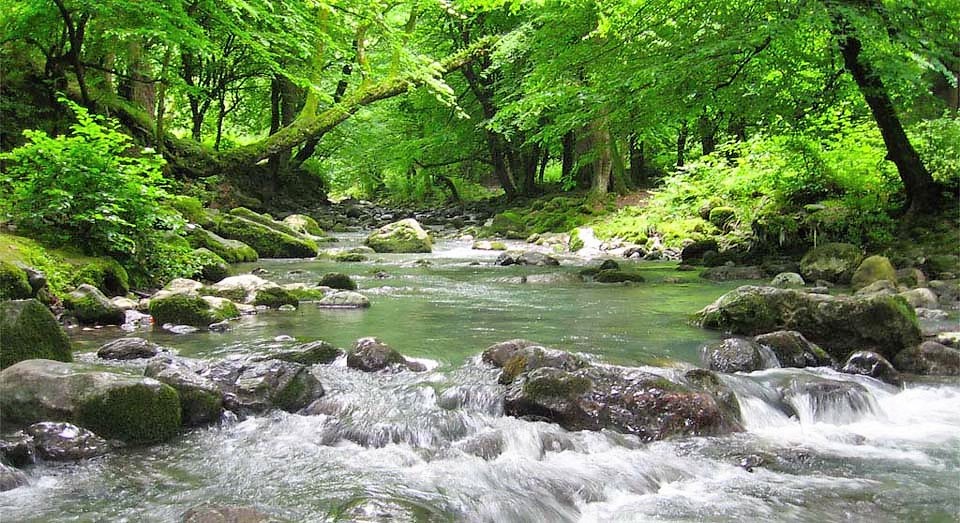 River in Gorgan's Naharkhoran